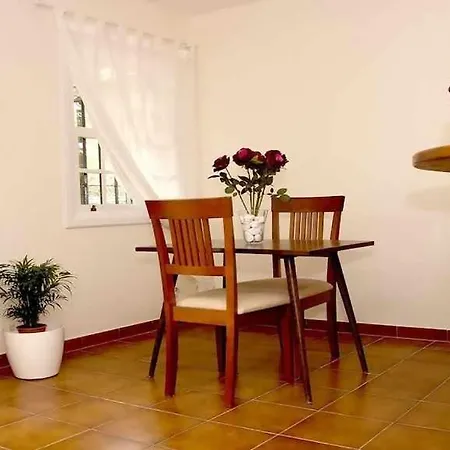 Apartamento Con Jardin Y Piscina B Puerto de la Cruz  Exterior photo