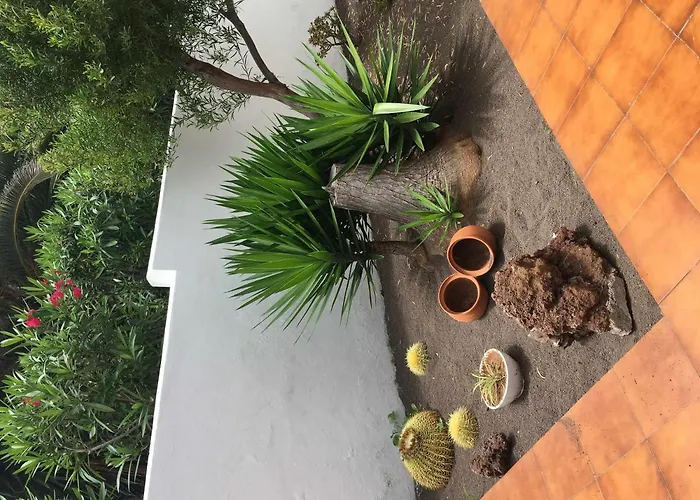 Apartamento Con Jardin Y Piscina B